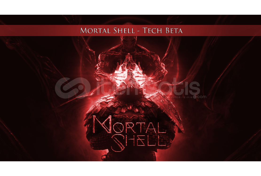 Mortal Shell
 + Garanti Mortal Shell
 + Garanti