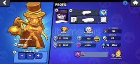 MORTİS KATALOG FULL