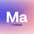 Motion Array 1 Hafta