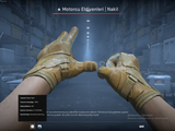 Moto Gloves | Transport (Field-Tested) 0.15