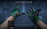 ★ Moto Gloves | Turtle (Minimal Wear)