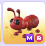 Mr ant adopt me