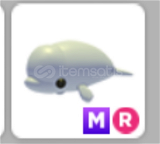 MR Beluga Whale