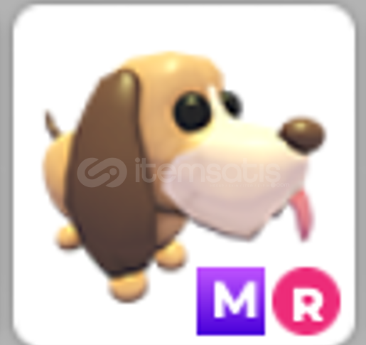 Mr Bloodhound en ucuzu Mr Bloodhound en ucuzu