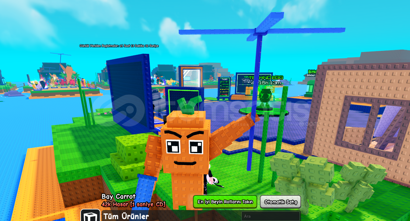 Mr Carrot 42K Damage Mr Carrot 42K Damage