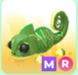 MR Chameleon/ADOPT ME/EN UCUZU