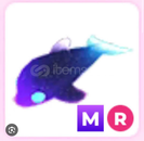 MR GLORMY DOLPHİN ADOPT ME