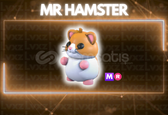 MR Hamster En Uygunu (0.1 Value) MR Hamster En Uygunu (0.1 Value)