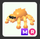 Mr Jumping Spider en ucuzu