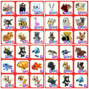 MR Legendary Pet MR Legendary Pet