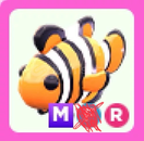 MR (Mega Ride) Clownfish *ULUSLARARASI EN UCUZU*