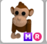 MR Monkey