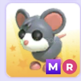 Mr mouse adopt me