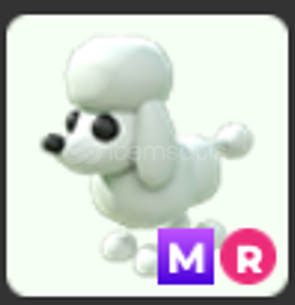Mr Poodle en ucuz Mr Poodle en ucuz