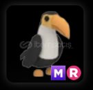MR TOUCAN