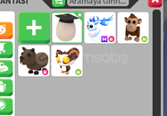 MR Winter Buck ve fazlası