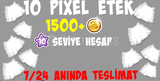 MSP1 10 PIXEL ETEK