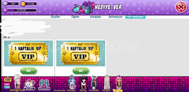 MSP VIP TICKET 