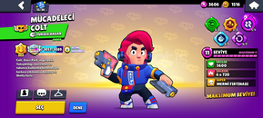 Mücadeleci coltu hesap