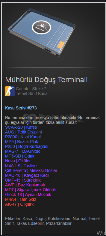 Mühürlü doğuş terminali