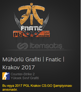 Mühürlü Grafiti | Fnatic | Krakov 2017
