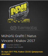 Mühürlü Grafiti | Natus Vincere | Krakov 2017