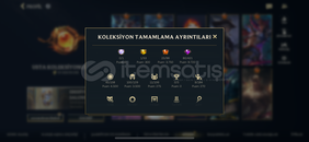 Mükemmel bol skinli hesap