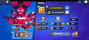 Mükemmel brawl stars hesabı