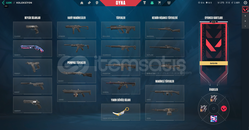 MÜKEMMEL İKİLİ ASİL KARAMBİT & KAOS VANDAL