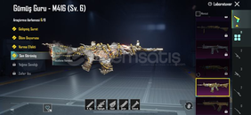 Mükemmel mainlemelik hesap