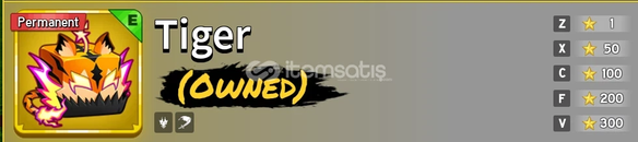 MÜKEMMEL PERMLİ HESAP! Blox Fruit.