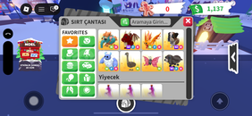 •Mükemmel pet paketi• ölü fiyat• hızlı teslimat