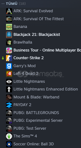 MÜKEMMEL STEAM HESABI ! MÜKEMMEL STEAM HESABI !