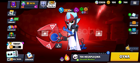 Mükemmel zengin hesap