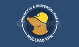 Mullvad VPN - 1 Aylık - Oto Teslimat