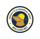MULLVAD VPN 3 GÜNLÜK