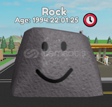 MY PET ROCK 2K GÜNLÜK PET