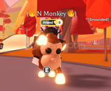 N F R Monkey