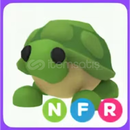 (N)(F)(R) TURTLE