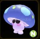 N MUSHROOM FRİEND