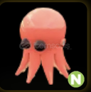 N OCTOPUS