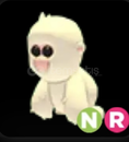 NR SNOW MONKEY