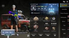 Nadir hesap kertenkele 4 sv