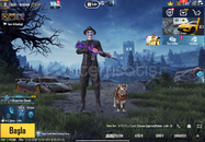 ⭐️GÖREV A | 65 KOLEKSİYON | SPORLU | MASKARALI⭐️