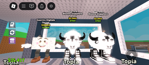 Nadir petler dolu paket 