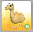 Neon Camel Neon Camel