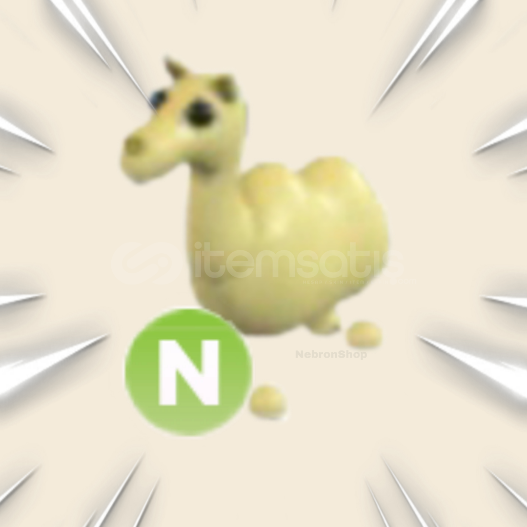 Neon Camel En Uygunu!  Neon Camel En Uygunu!