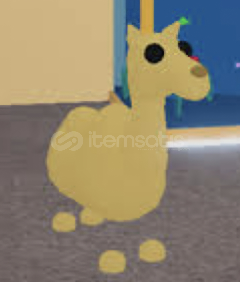 NEON CAMEL (NO POTİON) NEON CAMEL (NO POTİON)