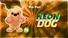 NEON Dog