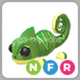 NEON FLY RİDE CHAMELON